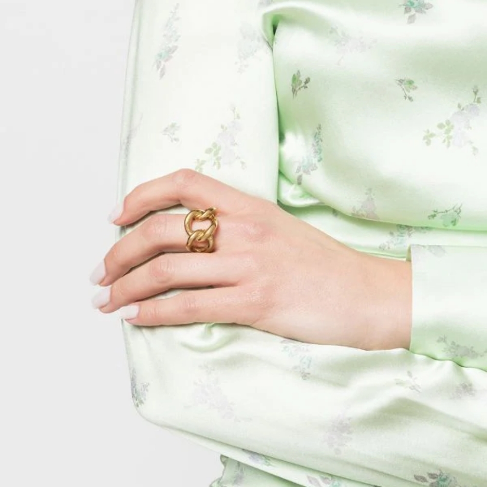 NWT Isabel Lennse chainlink homden ring